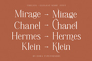 Chelvin Elegant Serif, a Serif Font by Dora Typefoundry (Thumbnail 5 of 20)