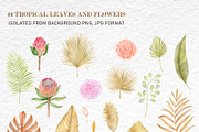 Tropical dried leaves set, an Illustration by svetodesign (Thumbnail 3 of 16)