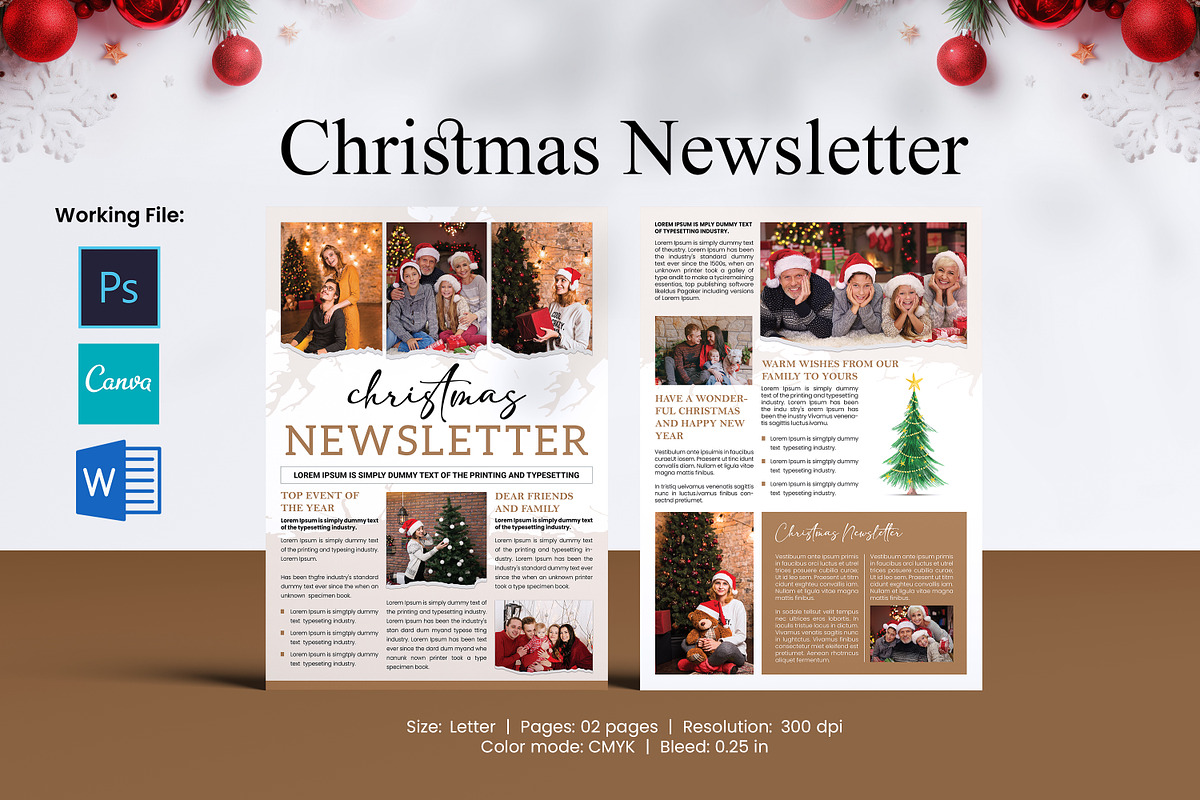 Christmas Newsletter Template, a Flyer Template by crazyOWL (Photo 1 of 3)