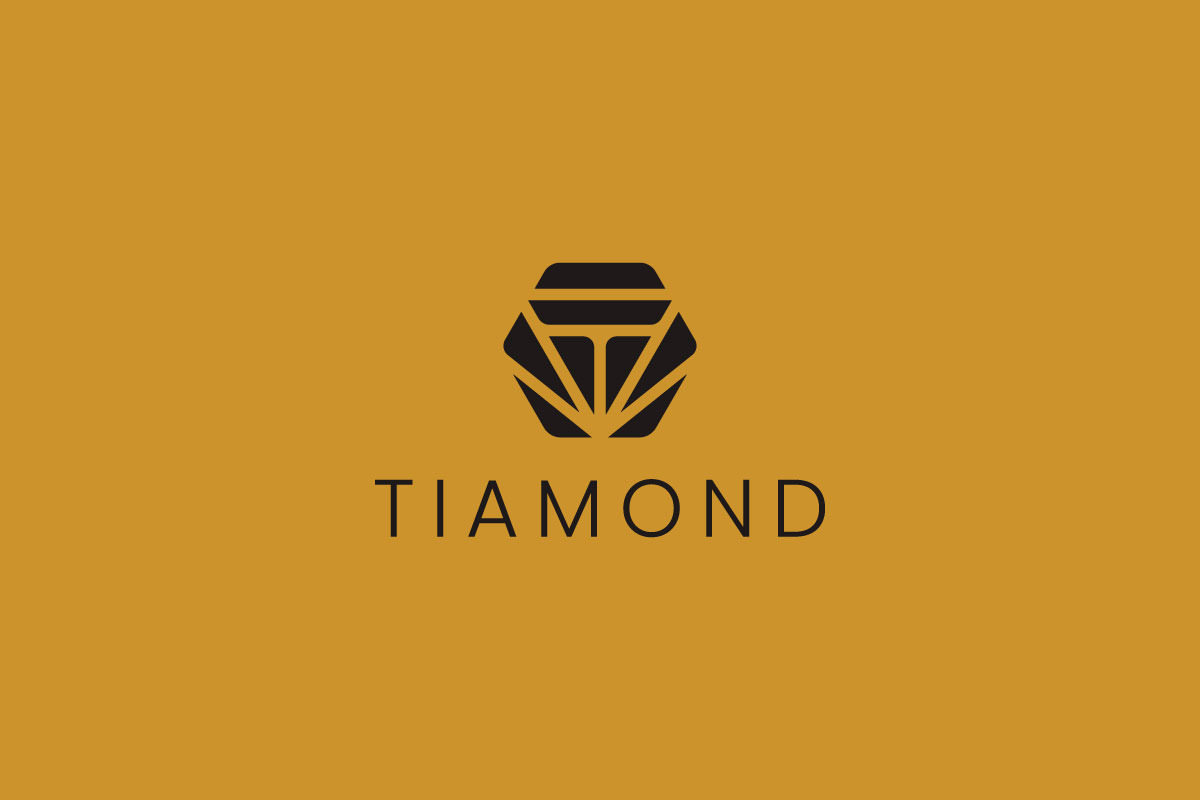 Luxury Letter T Logo Design, a Branding & Logo Template by arhabib (Photo 11 of 13)