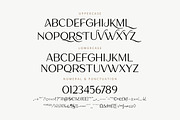 Lamora – Luxury & Modern Logo Font, a Sans Serif Font by Typebae (Thumbnail 11 of 12)