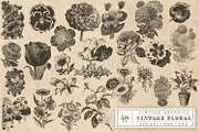 Vintage Flower Vector Graphics, an Illustration by Eclectic Anthology (Thumbnail 3 of 4)