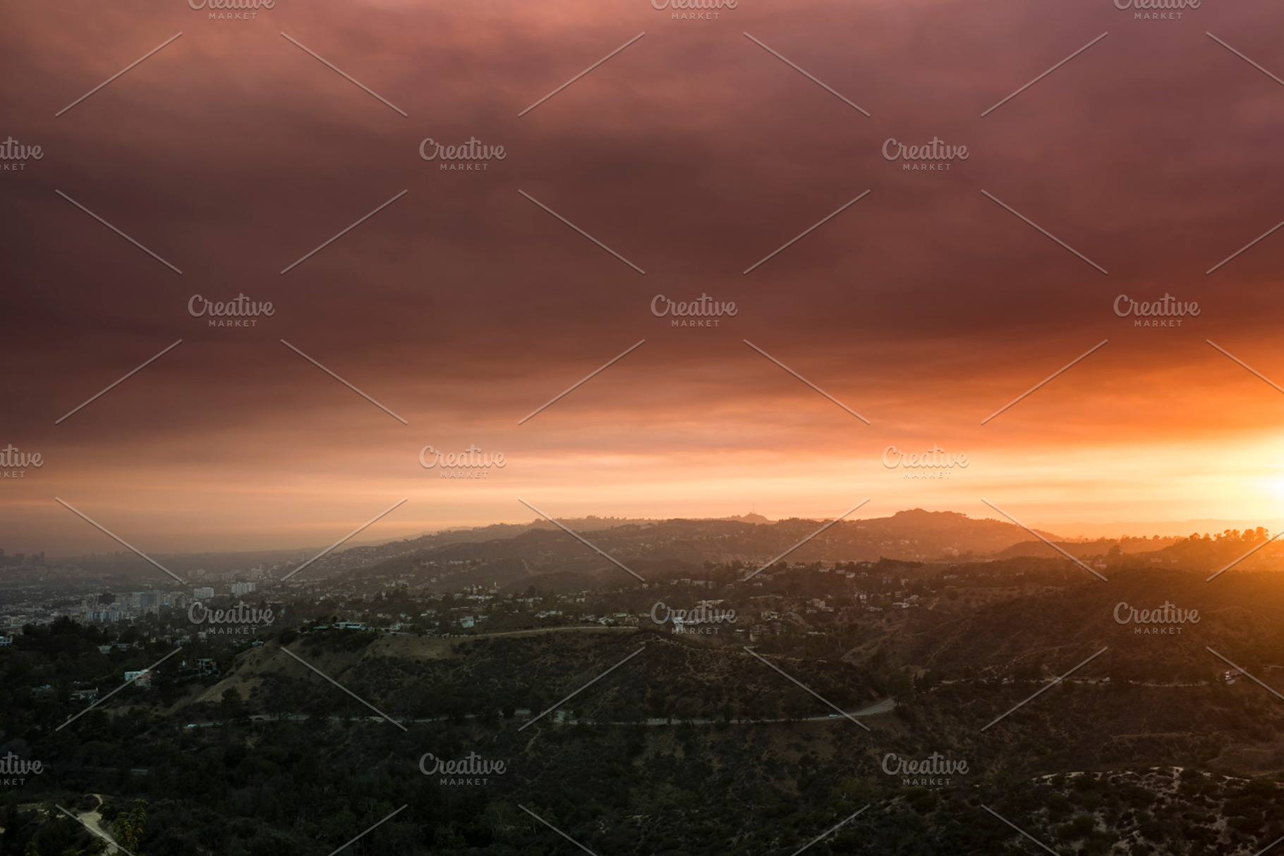 Griffith Park Landscape, a Nature Photo by NomadicA