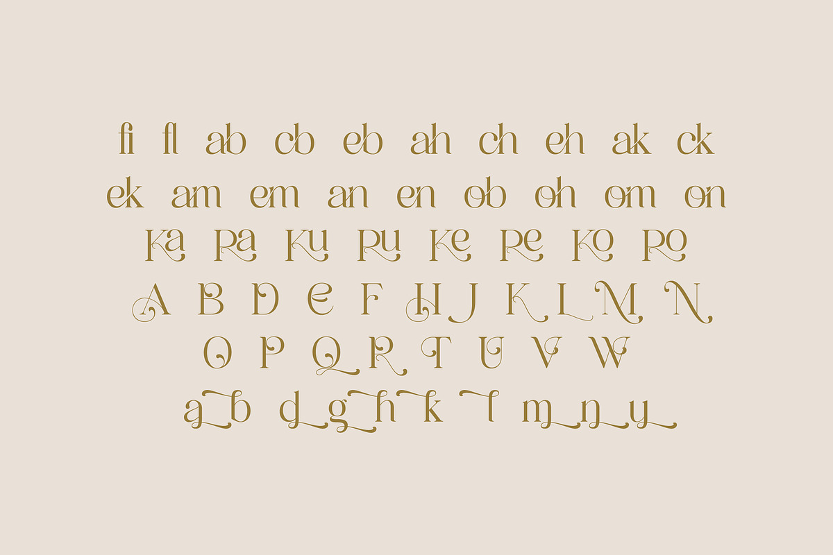 Quahon Modern Stylish Font, a Script Font by Storytype Studio (Photo 13 of 15)
