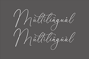Beatrice Clorophil Chic Calligraphy, a Script Font by Storytype Studio (Thumbnail 11 of 15)