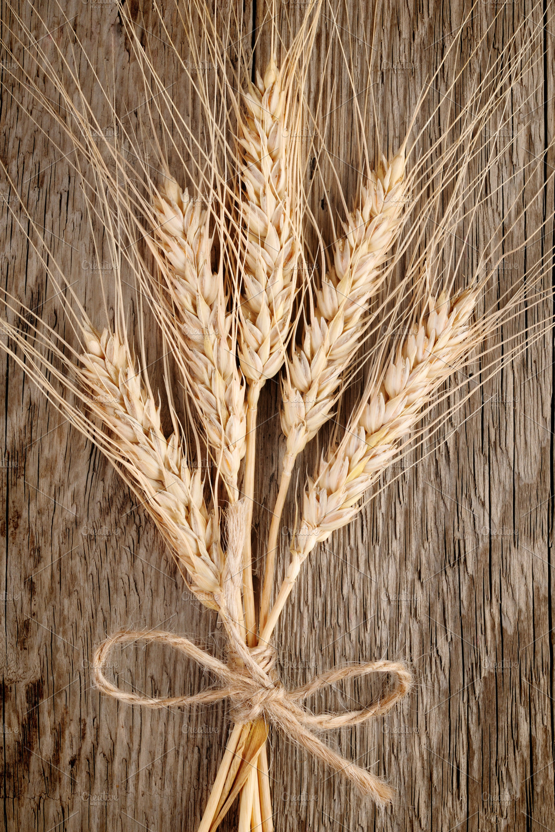 Wheat ears stock photo containing ear and wheat