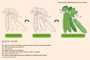 Fruit & Veggies Procreate Stamps