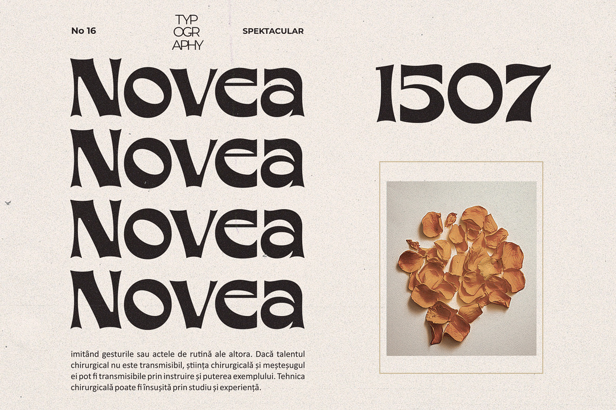 Mohan, a Serif Font by Allmostudio (Photo 2 of 12)