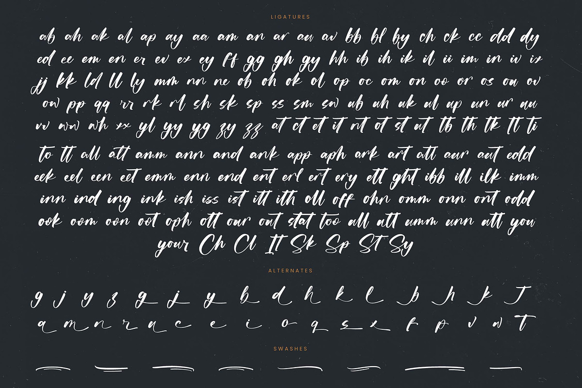 Actively Modern Brush Font, a Script Font by stylishtype.co (Photo 19 of 20)