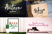 The brilliant fonts bundle, a Script Font by Franstudio (Thumbnail 11 of 20)