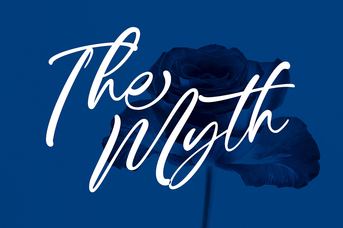 Mittchely Signature Script Font, a Script Font by Maulana Creative (Photo 7 of 8)