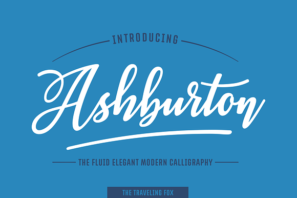Ashburton - Decorative Script preview 7
