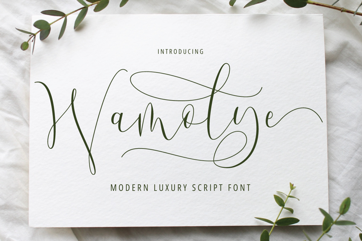 Wamoly - Luxury Script, a Script Font by tebaltipislab (Photo 1 of 10)