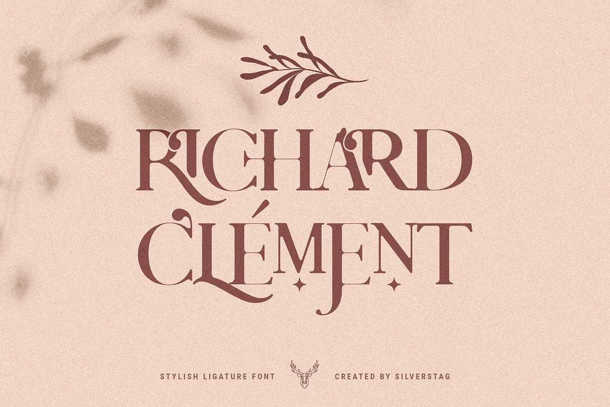 Charles - Chic Ligature Serif Font, a Serif Font by SilverStag Type Foundry (Photo 19 of 31)