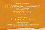 Bartha - Modern Brush Font, a Script Font by RHD Creative Studio (Thumbnail 10 of 10)