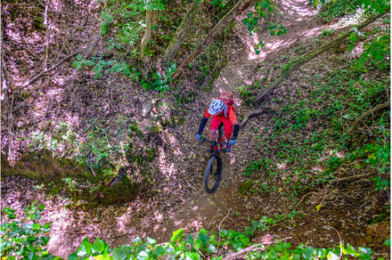Unrecognisable mountain biker rides
