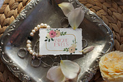 Blush Blooms Soft Watercolor Flowers, a Decorative Illustration by Catch the Dream Art (Thumbnail 7 of 13)