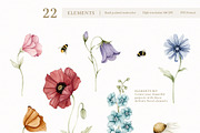 Watercolor Botanical Wildflowers Set, a Decorative Illustration by Carol Lozove (Thumbnail 4 of 36)