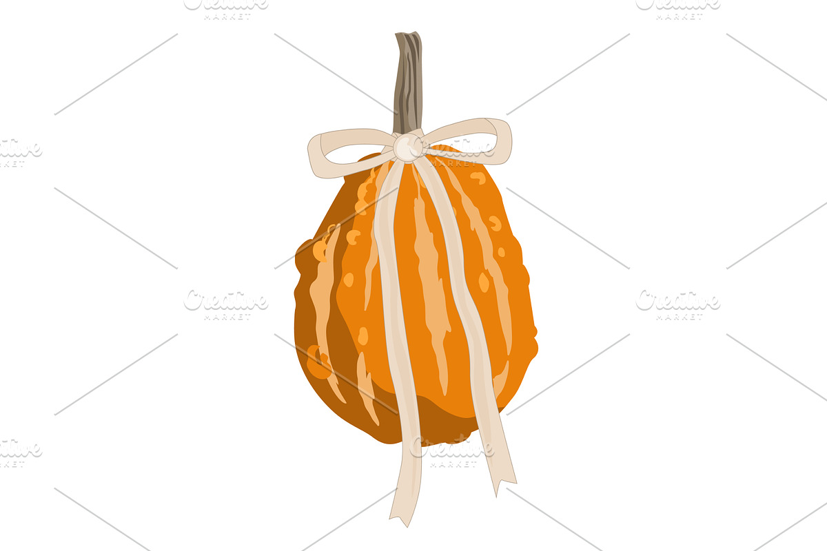 Charming autumn pumpkin with a tied, an Object Illustration by Toltemara