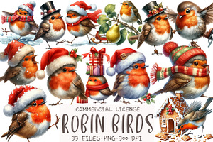 Christmas Robin Birds Clipart, an Illustration by OK Design