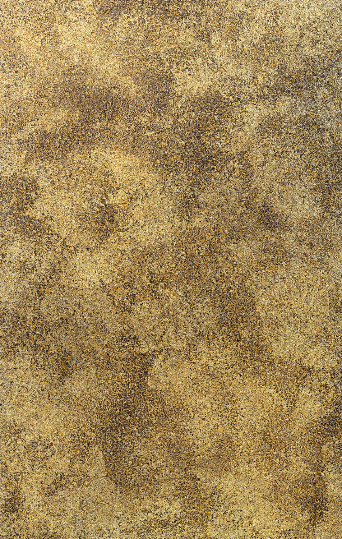 Decorative stucco texture | Textures ~ Creative Market