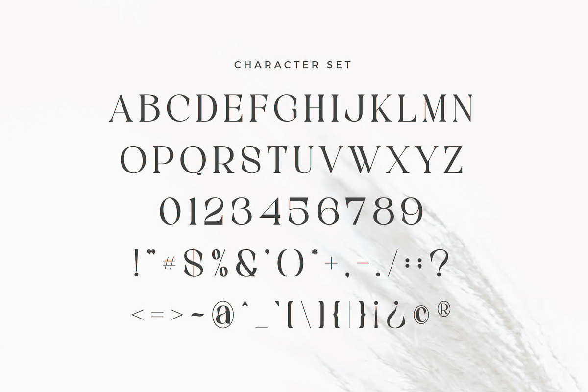 Gacor - Stylish Serif Font, a Serif Font by Aqeel_Art (Photo 8 of 9)