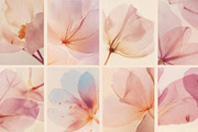 VEIL Flowers Collection, a Background Graphic by nkate (Thumbnail 12 of 13)