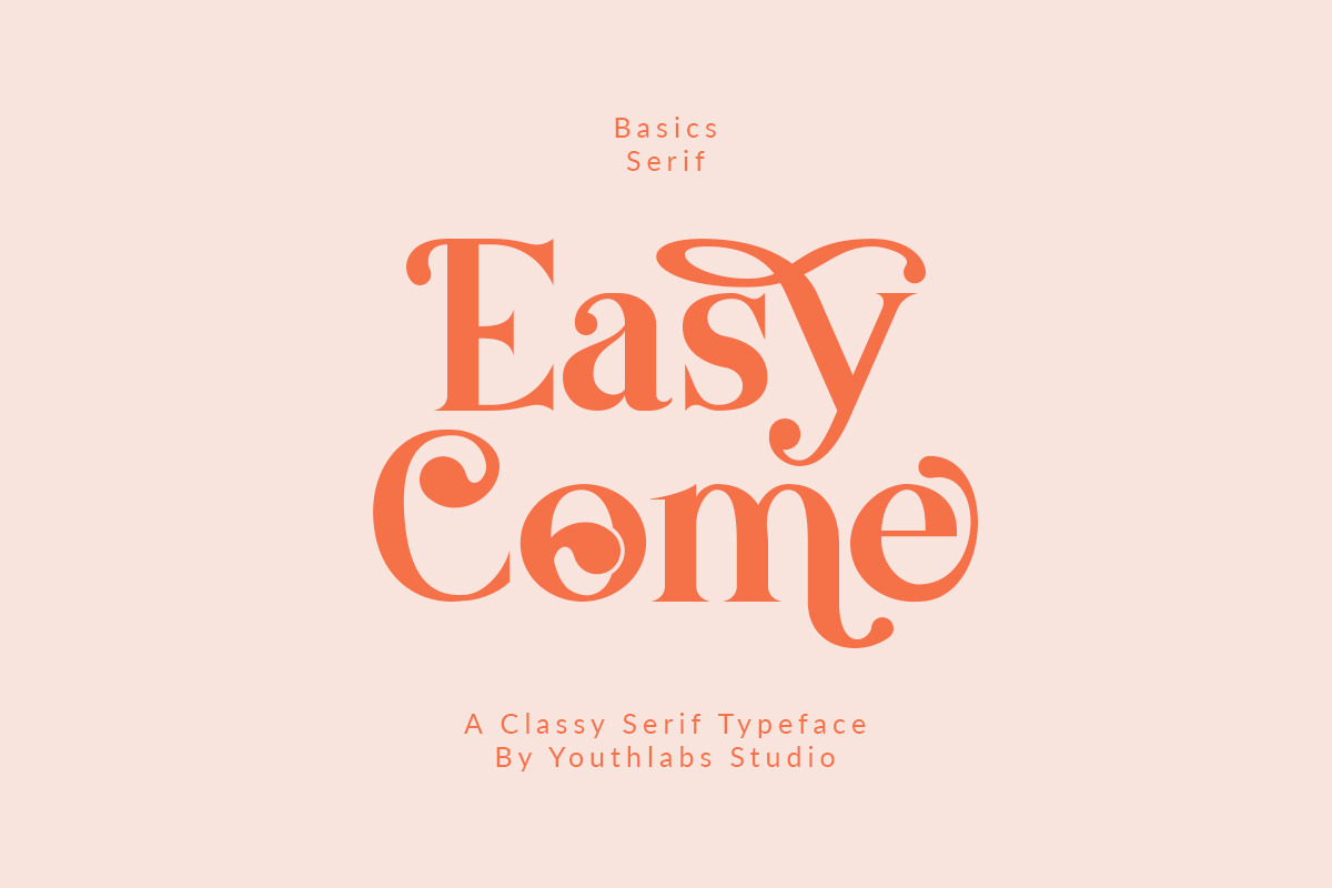 Basics Serif Font - 30% OFF preview 4