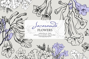 Flowers of Jacaranda. Botanical Set, a Decorative Illustration by ON_lineart_store