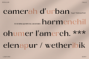 Luxury Ligature Font - Layer Valenas, a Serif Font by Say Studio (Thumbnail 6 of 10)