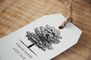 35 Trees PNG, an Object Graphic by Alexandra Fulger (Thumbnail 5 of 6)