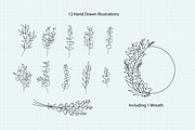 Eucalyptus Dainty Drawing Bundle, a Work Illustration by Hannah Eliza Studio (Thumbnail 2 of 4)