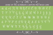 Cantoni Pro Bold Font, a Script Font by Debi Sementelli (Thumbnail 2 of 4)