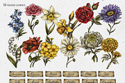 Birth Flowers & Birthstone Clipart, an Illustration by Belusuab (Thumbnail 2 of 16)