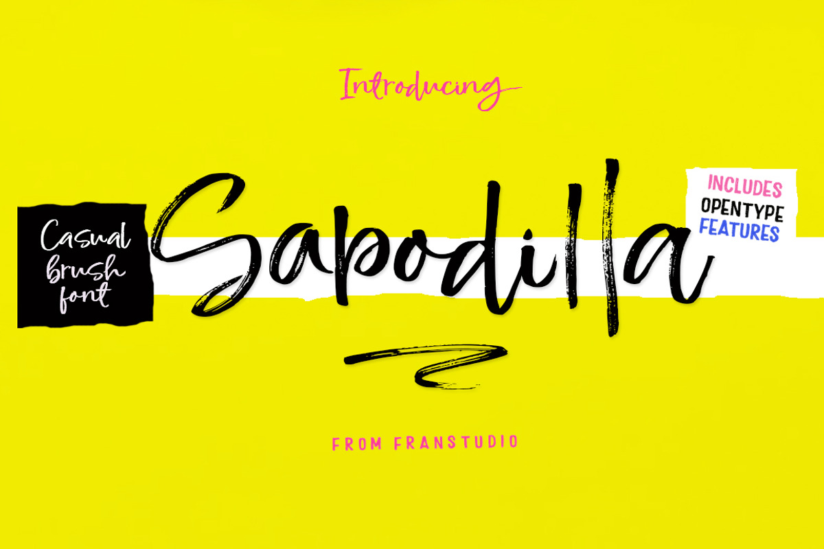 Sapodilla Brush Font, a Script Font by Franstudio (Photo 1 of 5)