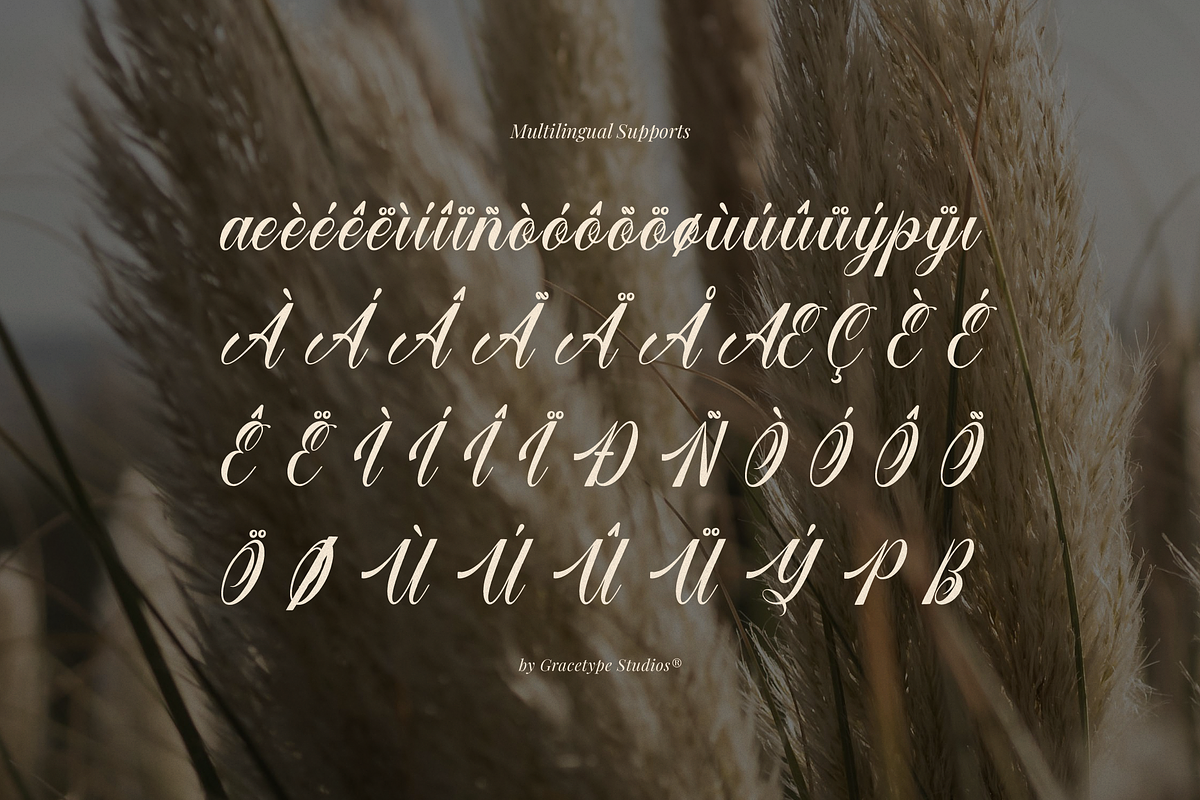 Larfioda | Elegant Script Font, a Script Font by gracetype_studio (Photo 11 of 12)