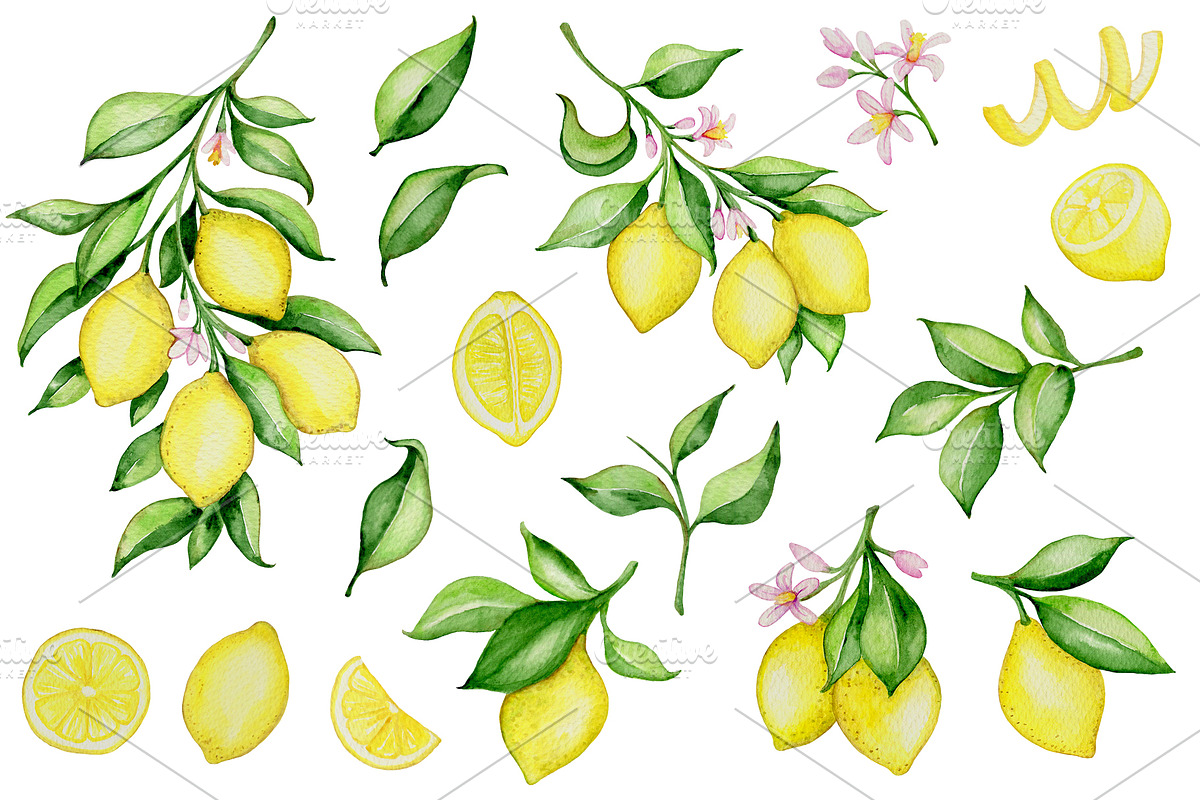 Lemon Tree Watercolor Design Kit, a Decorative Illustration by Artspace (Photo 2 of 8)