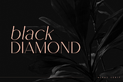 Alpas - soft serif typeface, a Serif Font by Only Fonts (Thumbnail 4 of 11)