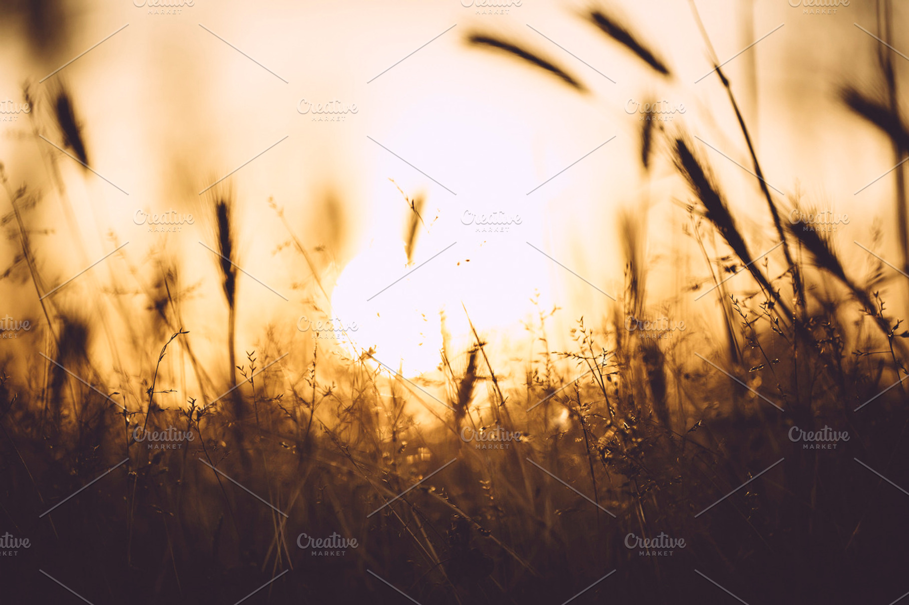 Gold stock photo containing gold and yellow