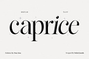 Lifestyle Icons | 8 Font Files, a Serif Font by Pista Mova (Thumbnail 9 of 21)