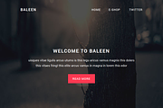 Baleen - Responsive email template, an Email Template by QuickArtisan (Thumbnail 5 of 5)