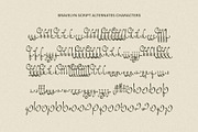 Bravelyn Script Family, a Script Font by Get Studio (Thumbnail 12 of 12)