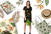 Tropical Fairy Watercolor Set, a Decorative Illustration by ZabolotnaArt (Thumbnail 12 of 13)
