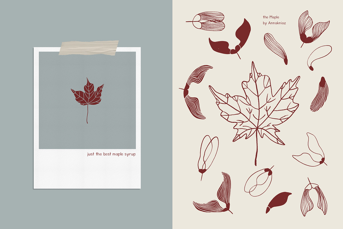 It's Autumn - fruits and foliage, a Seasonal Illustration by Annakniaz (Photo 13 of 15)