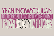 Panforte Pro - 7 fonts, a Sans Serif Font by Zetafonts (Thumbnail 7 of 8)