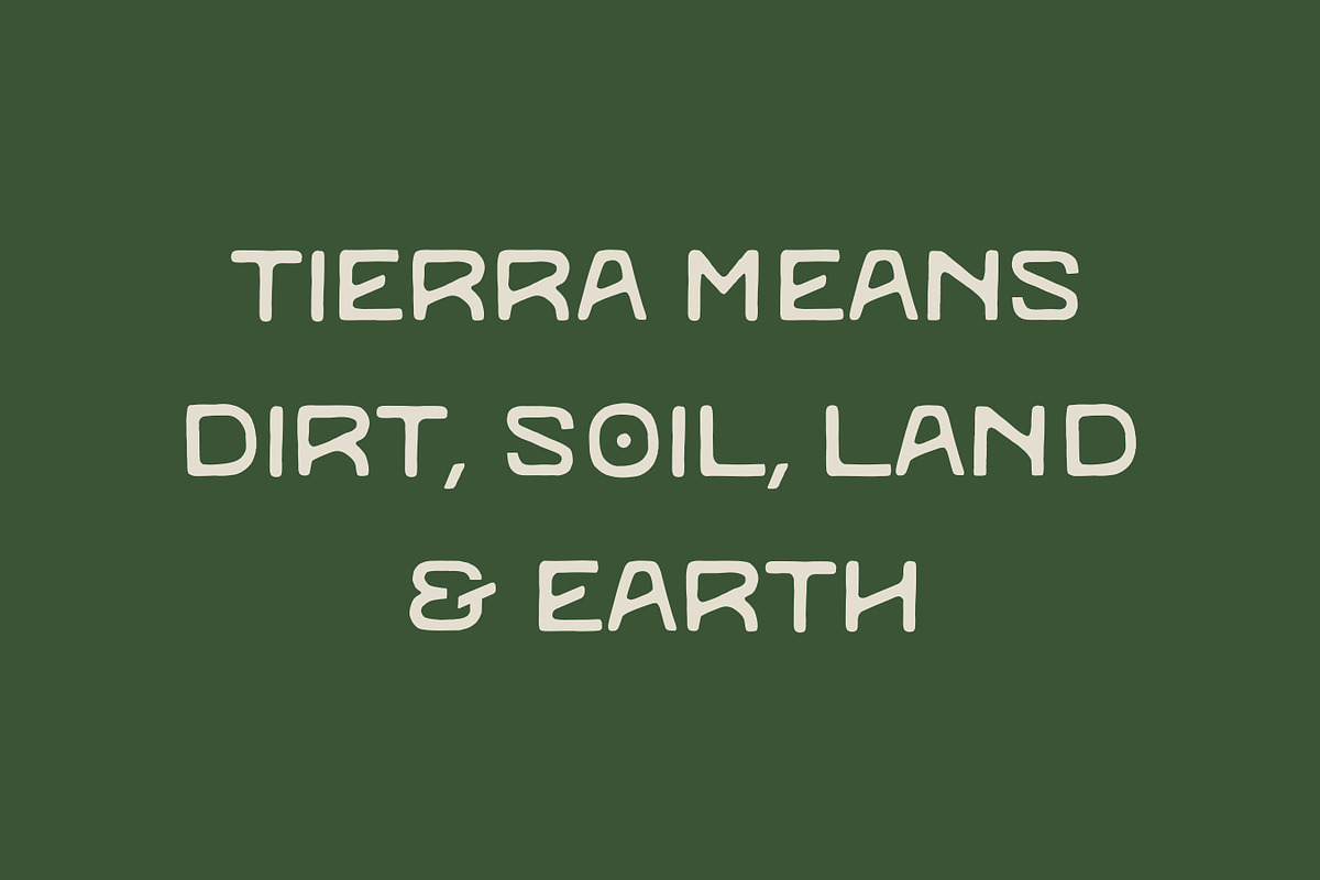 Tierra font, a Handwritten Font by Florflai (Photo 3 of 4)