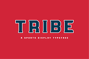 Colossal Sports Font Bundle, a Serif Font by Studio One Four (Thumbnail 20 of 31)