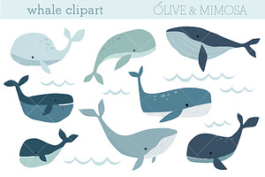 Whale illustrations clipart set