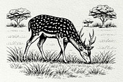 Axis Deer Wildlife Graphics, an Animal Illustration by DENIDigitalArtSudio (Thumbnail 2 of 8)
