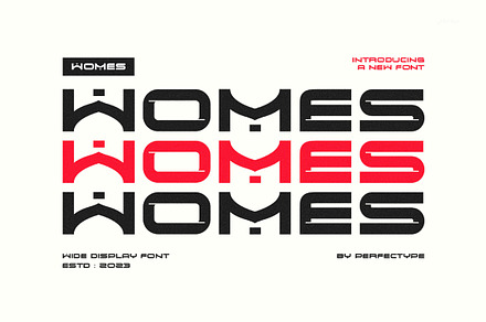 Womes Modern Technology Sans Serif, a Sans Serif Font by Perfectype